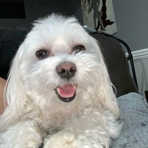 Meet your Posher, Ravina